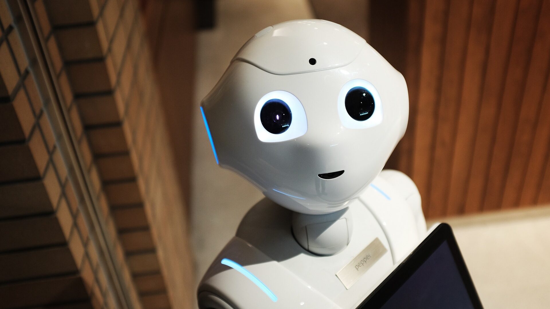 KI Roboter können zahlreiche Aufgaben übernehmen.